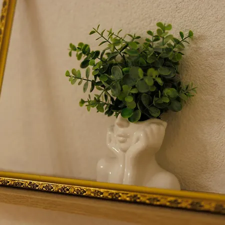 Victoriei Square Apartament Timişoara